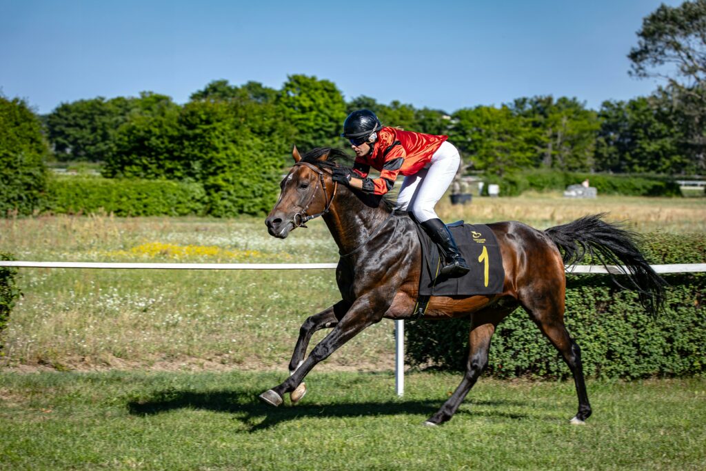 ostéopathe cavalier cheval gladys faure